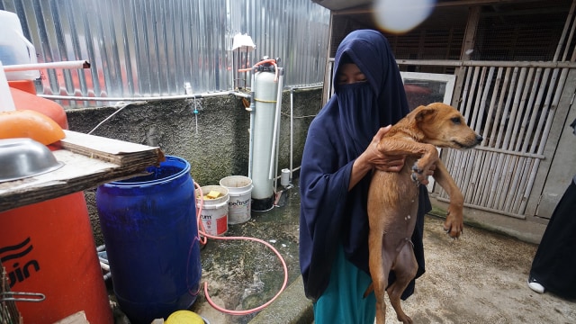 Hesti Sutrisno merawat 11 anjing dan 20 kucing. (Foto: Helmi Afandi Abdullah/kumparan)