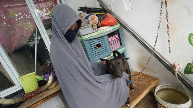 Hesti Sutrisno merawat 11 anjing dan 20 kucing (Foto: Helmi Afandi/kumparan)
