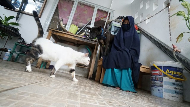 Hesti Sutrisno merawat 11 anjing dan 20 kucing (Foto: Helmi Afandi/kumparan)
