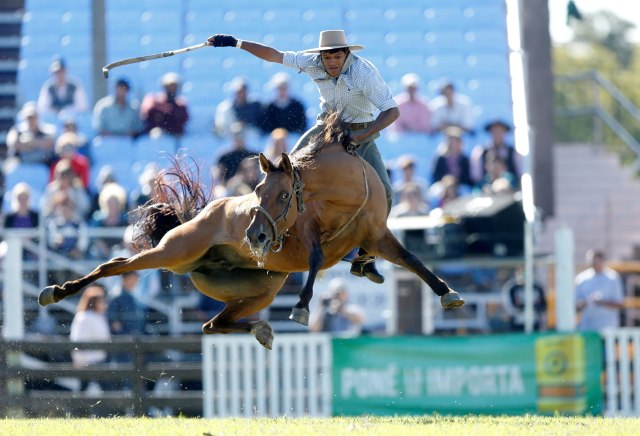 Atraksi kuda di Uruguay Foto: REUTERS/Andres Stapff