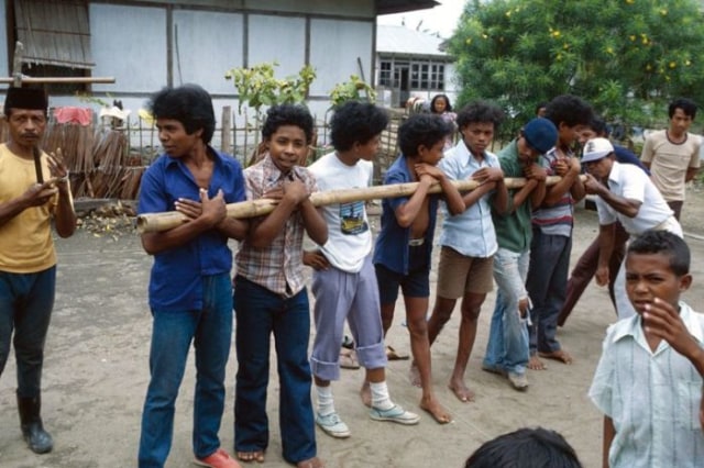 Bambu Gila (Foto: Wikimedia Commons)