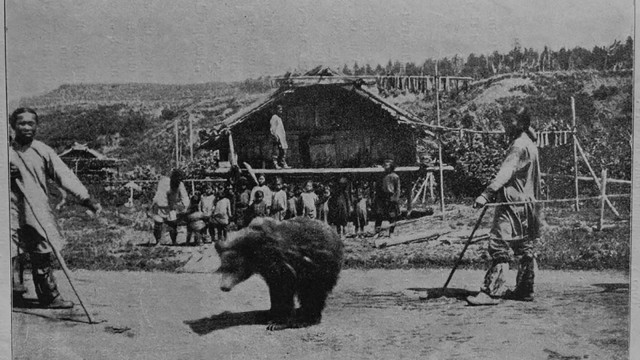Tradisi Memuja Beruang Oleh Suku Ainu. (Foto: Wikimedia Commons)