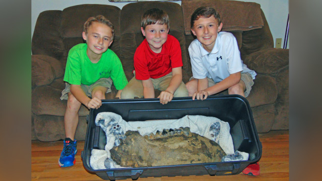 3 bocah menemukan Fosil Mastodon. (Foto: John Surratt/The Vicksburg Post via AP)