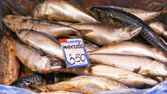 4 Perbedaan Ikan Sarden dan Makarel yang Sering Dianggap Sama (4)