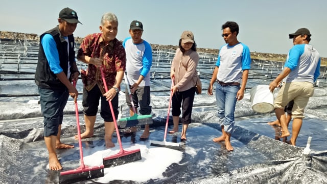 Produksi garam industri dengan metode Bestekin. (Foto: Ela Nurlaela/kumparan)