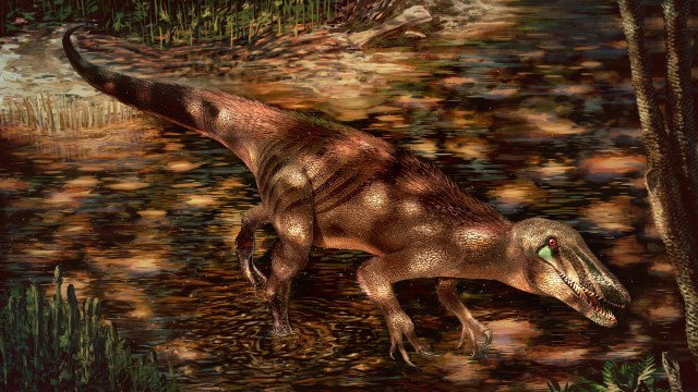 Ilustrasi dinosaurus Tratayenia. Foto: Andrew McAfee/Carnegie Museum of Natural History via Reuters