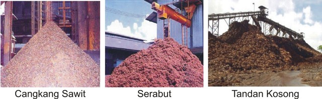 Mengenal Potensi Limbah Kelapa Sawit Indonesia (1)