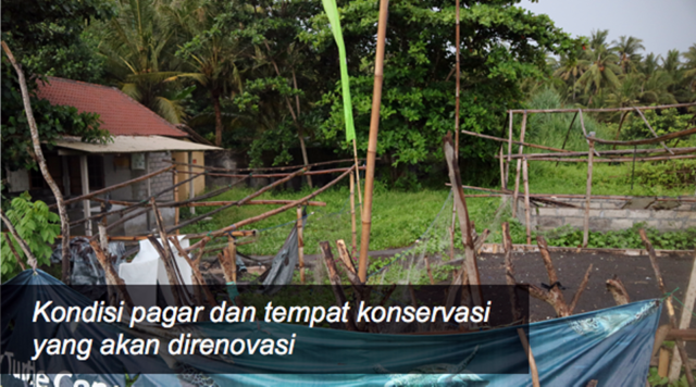 Renovasi lokasi konservasi penyu Saba, Bali. (Foto: dok. Bali Zoo Turtle Conservation via Kitabisa)