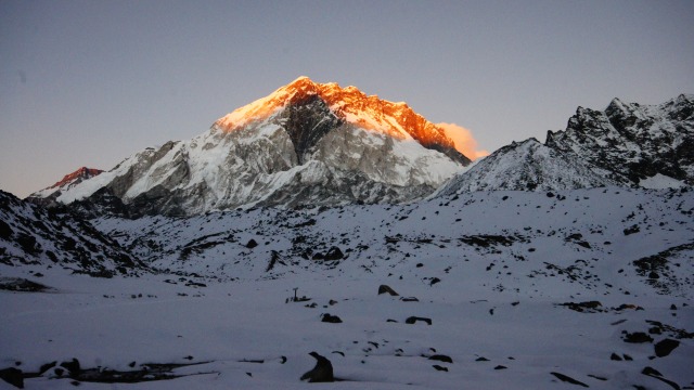 Laba-laba yang Mampu Bertahan di Gunung Everest