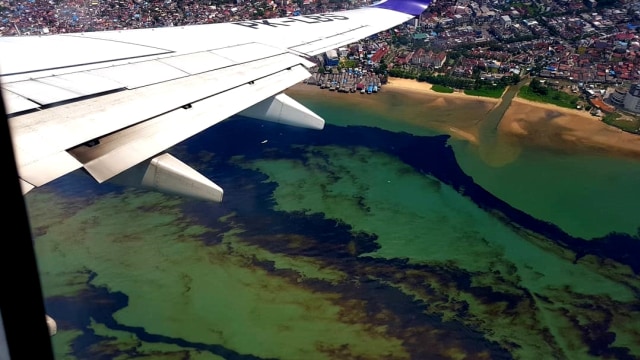 Pemandangan tumpahan minyak di Balikpapan. (Foto: Instagram/@ranggaguns)