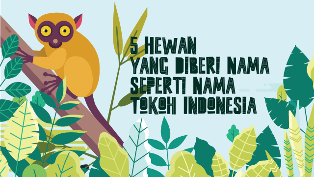 Hewan yang Diberi Nama Seperti Tokoh Indonesia (Foto: Chandra Dyah A/kumparan)