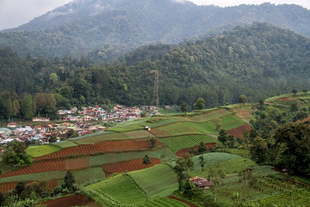Tanah Bergerak, 'Murka' Alam yang Sering Terjadi di Bogor (5)