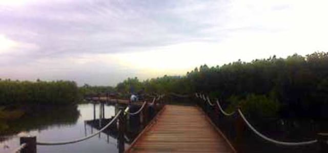 Randu Tatah Dari Wahana Studi Lingkungan Jadi Destinasi