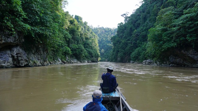 Sungai Hulu Tamiang, Aceh (Foto:  Zuhri Noviandi/kumparan)