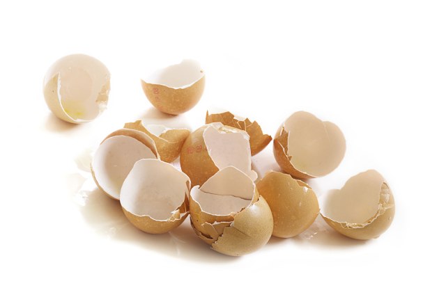 Cangkang telur bermanfaat untuk memutihkan baju (Foto: Thinkstock)