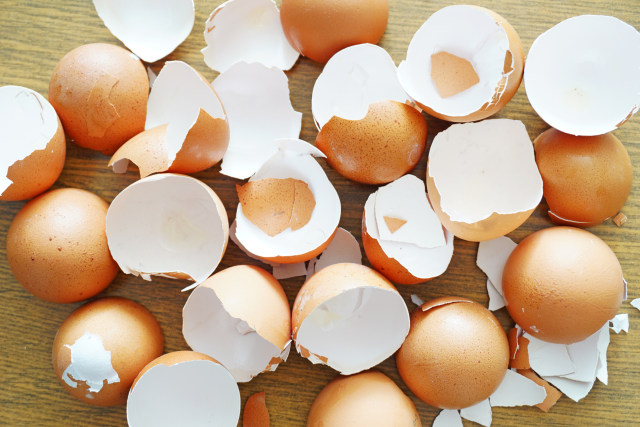 Cangkang telur (Foto: Thinkstock)