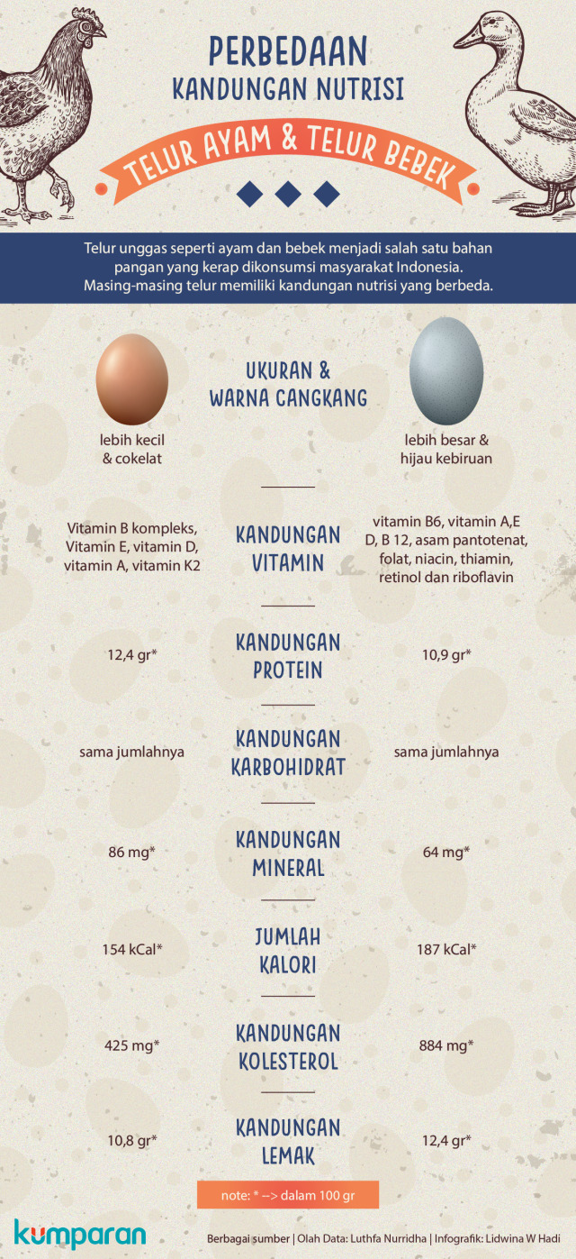 Infografik kandungan gizi telur ayam dan bebek (Foto: Lidwina Win Hadi/kumparan)