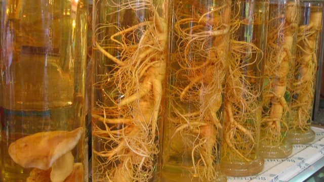 Ginseng Korea (Foto: Wikimedia Commons)