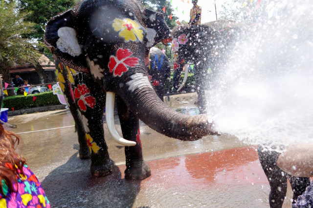 Festival Songkran. Foto: REUTERS/Jorge Silva