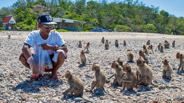 Pulau monyet Koh Ped di Thailand. (Foto: Flickr/Ava Buralan)