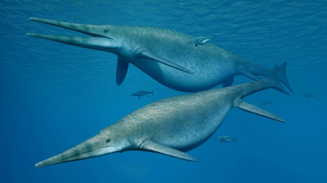 Ilustrasi ichthyosaurus. (Foto: Nobumichi Tamura via Reuters)