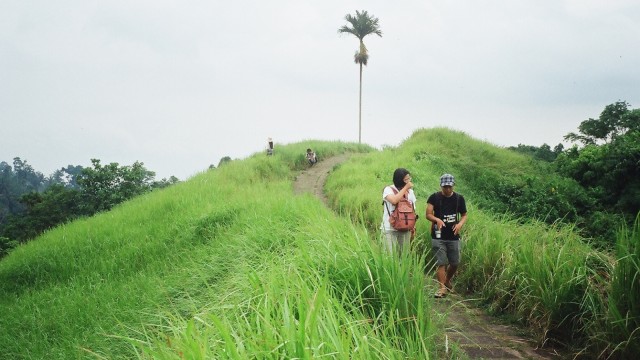 Bukit Campuhan. (Foto: Flickr / I Kt Dedy Setiawan)