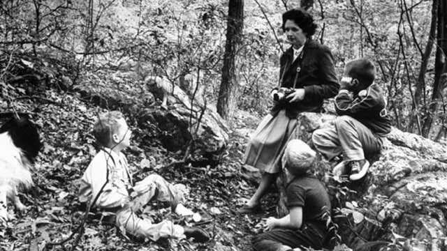 Rachel Carson: Pelopor Gerakan Lingkungan Hidup yang Mengubah Dunia