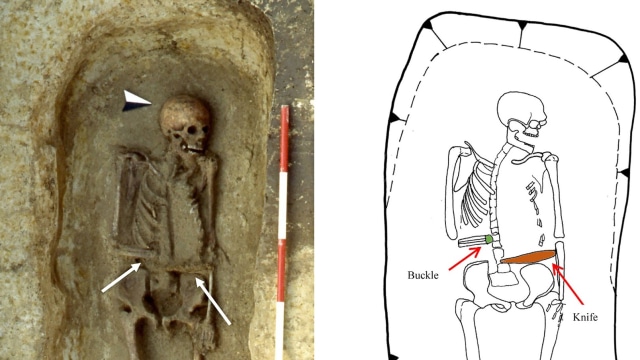Tulang Dengan Tangan Pisau  (Foto: Micarelli et al./Journal of Anthropological Sciences)
