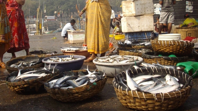 Pasar Ikan Mumbai (Foto: Pixabay)