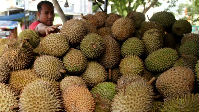 Buah durian produksi Indonesia Foto: ANTARA FOTO/Akbar Tado