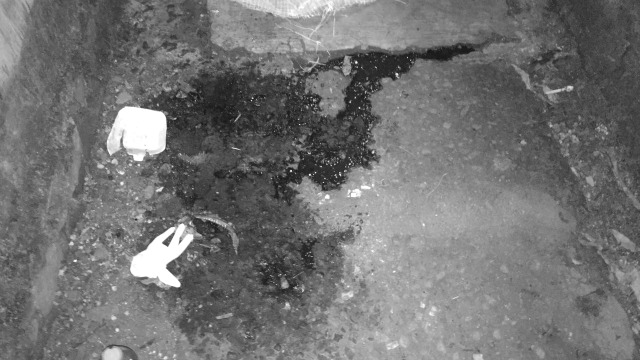 TKP penemuan mayat di UKI Cawang. (Foto: Andreas Ricky Febrian/kumparan)