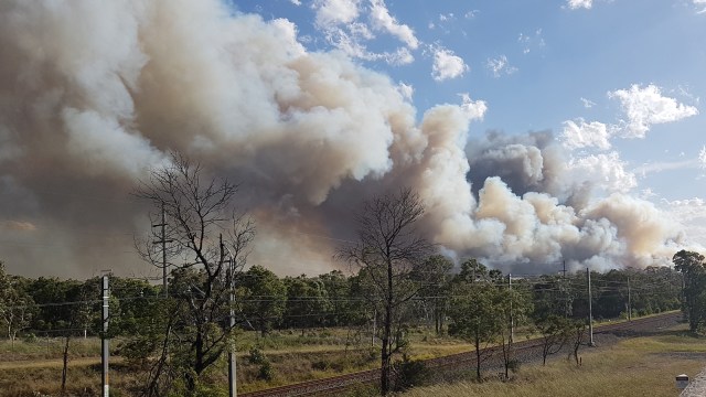 Kebakaran di Sydney Selatan. (Foto: AFP/Carlos Coutinho)