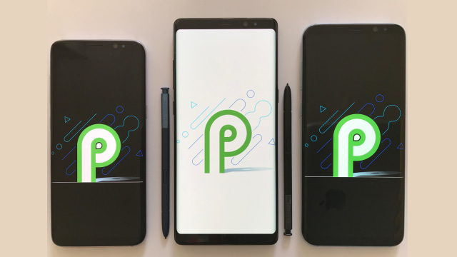 Android P. (Foto: Wikimedia Commons)