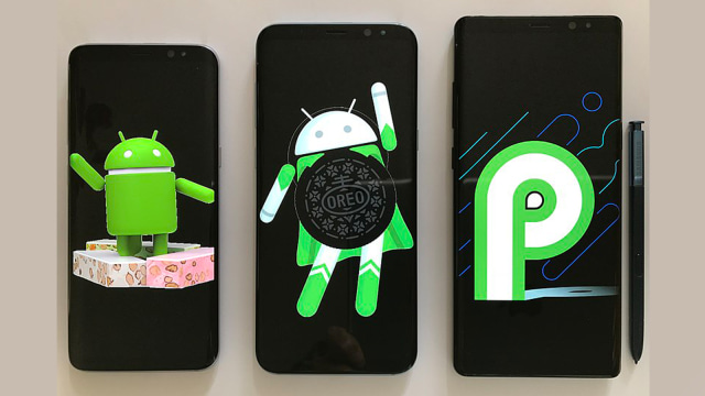 Android P. (Foto: Wikimedia Commons)