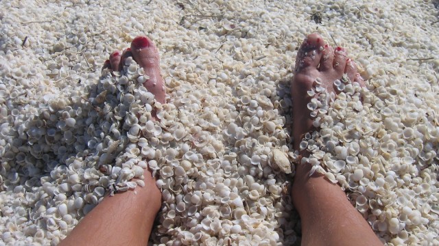 Pasir di Shell Beach. (Foto: Flickr/las007.rm)