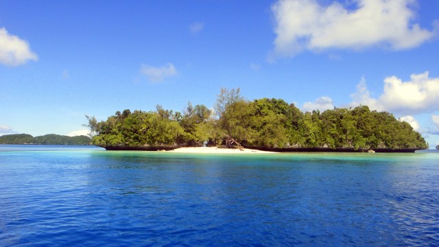Rock Island, Palau. (Foto: Flickr/Matt Kieffer)