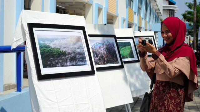 Kritik kerusakan hutan lewat foto di Aceh. (Foto: Zuhri Noviandi/kumparan)