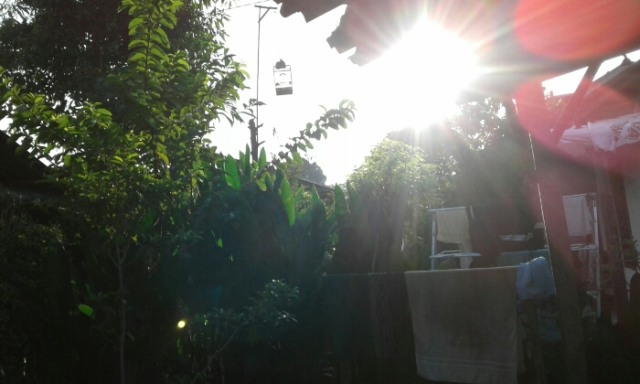 Setetes embun pagi.