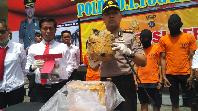 Kapolresta Yogyakarta melakukan rilis kasus ganja (Foto: Arfiansyah Panji Purnandaru/kumparan)