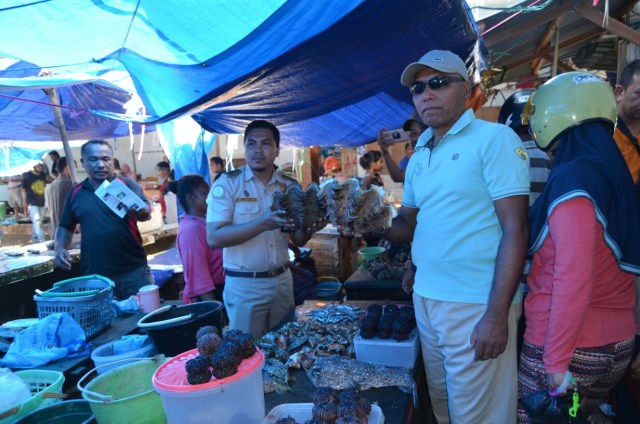 Menjaga Kelestarian Biota Laut dan kesegaran ikan, SKIPM Baubau Sosialisasi di Pasar Wameo (2)
