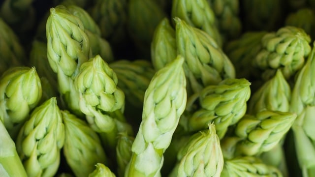 Ilustrasi asparagus