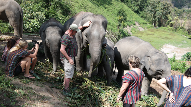 Gajah di Elephant Jungle Sanctuary (Foto: Flickr / Ken Weaver)