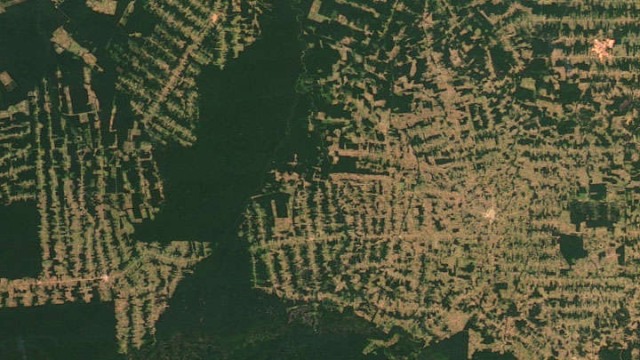 Hutan Amazon, 18 Juli 2012 (Foto: NASA Earth Observatory )
