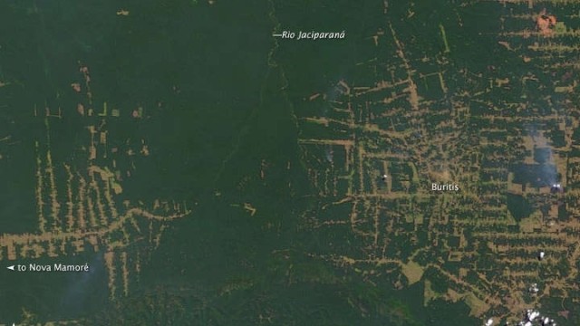 Hutan Amazon, 30 Juli 2000 (Foto: NASA Earth Observatory )