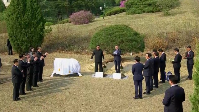 Kim Jong-un dan Moon Jae-in usai menanam pohon (Foto: Reuters Tv)