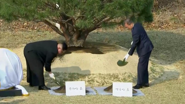 Kim Jong-un dan Moon Jae-in menanam pohon. (Foto: Reuters Tv)