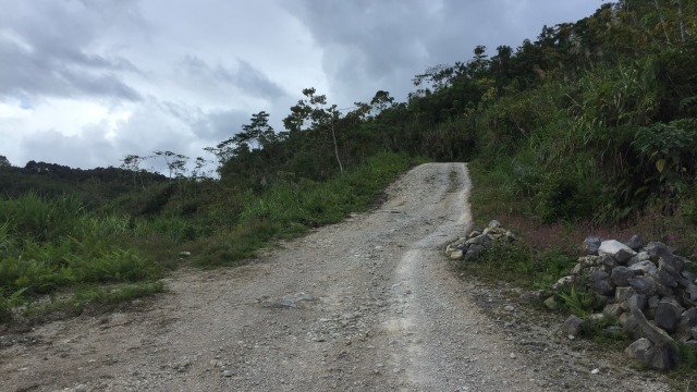 Pegunungan Bintang, Papua (Foto:  Moh Fajri/kumparan)