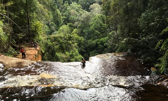 Lokasi penemuan kumbang Leonardo DiCaprio (Foto: Hendrik Freitag)