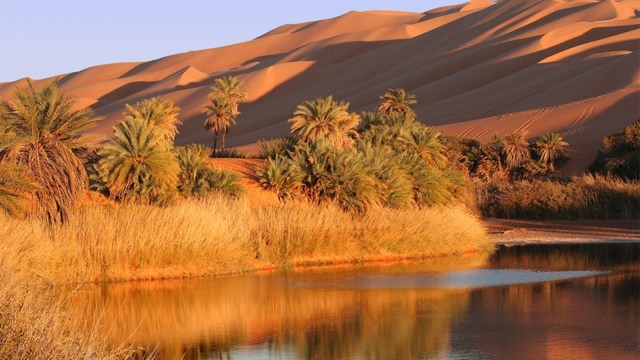 Ubari Sand Sea, oase di tengah gurun  (Foto: Flickr/Christiane D'Hoeraene)