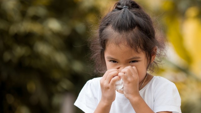 Ilustrasi anak pilek karena alergi (Foto: Thinkstock)